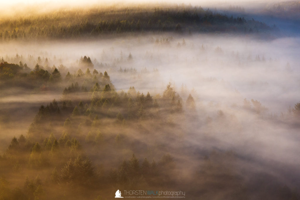 TWF_20171014_Waelder_014